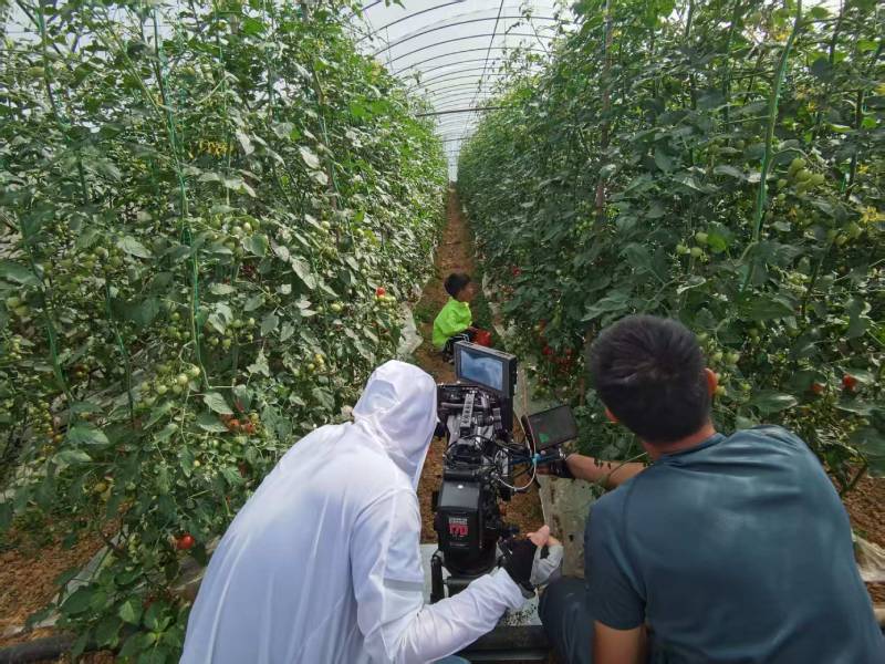 麦盖提县产品宣传视频拍摄公司进阶指南，助力品牌抢占传播高地